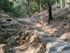 -滴水岩森林公园