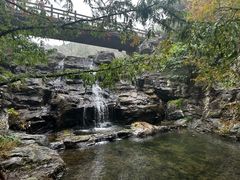 -国家植物园南园