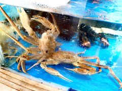 -海泰食府·新鲁菜·家宴(总部基地店)