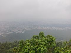 -紫金山山顶公园