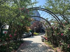 -蓝钻天成