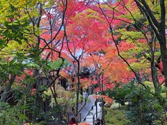 -常寂光寺