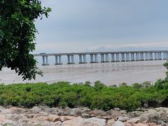 -宝安西湾红树林湿地公园