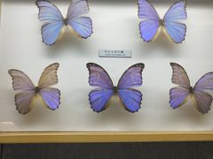 -青藏高原自然博物馆