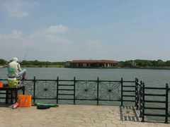 -上海都市菜园