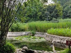 -成都市活水公园