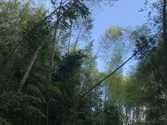 -千泷沟大瀑布旅游区