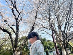 -堤角公园