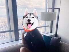 -长沙尼依格罗酒店