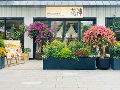 -花神·轻食简餐·咖啡馆·花卉绿植(荷兰花卉小镇店)
