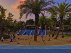 -宝安西湾红树林湿地公园