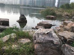-南翔镇银翔湖公园