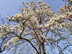 -玄武湖景区-情侣园游乐场