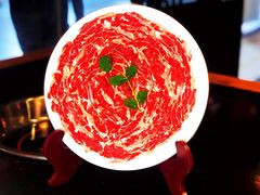-董家湾重庆老火锅(嘉华店)