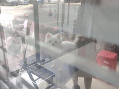 -福懋动物医院·犬猫全科·外科·重症科(杏林分院)