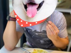NOC班尼迪蛋-NOC(西营盘店)