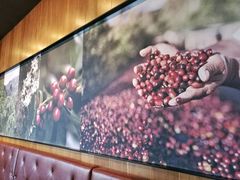 -星巴克臻选(宁波世纪东方广场店)
