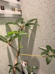 -LJOY丽锦造型·烫发染发