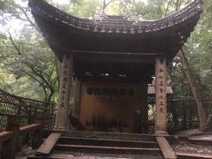 -灵岩山风景区