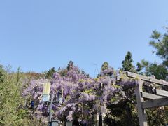 -缥缈峰景区