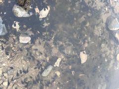 -青海湖国家重点风景名胜区售票处