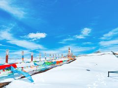 -大冬树山垭口