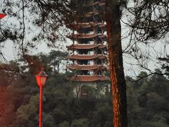 -缙云山景区