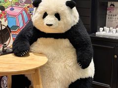 -轩客会(熊猫书店)