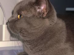 -1013 PET SHOP 宠物商店(近铁城市广场店)