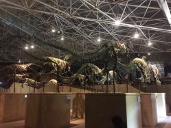 -世界恐龙谷