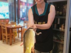 -乡土特色.冷锅鱼.牦牛肉汤锅