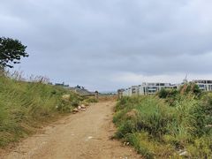 -长虫山生态公园风景林