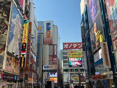 -秋叶原电器街