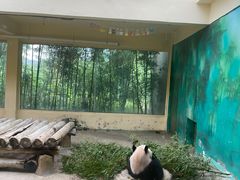 -杭州野生动物世界