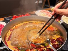 -滇牛云南火锅(桂林路店)