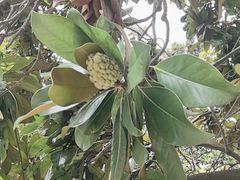 -东坡赤壁风景名胜区