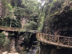 -永泰中国云顶