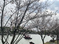 -江心屿景区