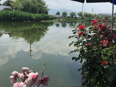 -晓琦农家菜馆·地道农家菜