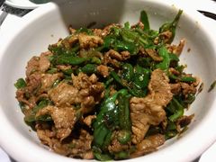 湘村黑猪辣椒炒肉-壹盏灯(惠农店)