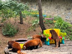 -大连森林动物园