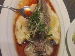 清蒸大黄鱼-闽海肴(北辰荟店)