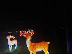 -北京鹿世界主题园