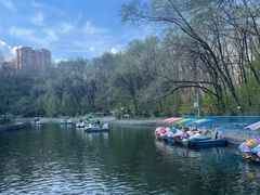 -黑龙江省森林植物园