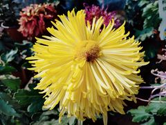 -国家植物园