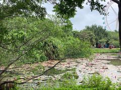 -白沙门生态公园