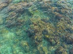 -三亚西岛海洋文化旅游区