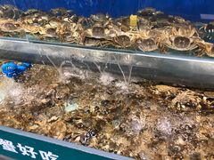-圣罗巴海鲜自助(黑金店)