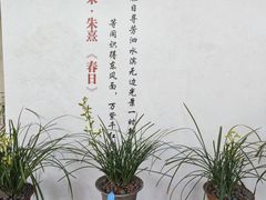 -南山植物园