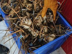 -蟹状元大闸蟹·年货·粽子(成都成华店)